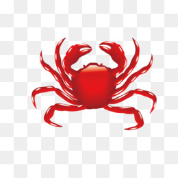 Christmas Island red crab Clip art - Cliparts Cartoon Crabs png ...