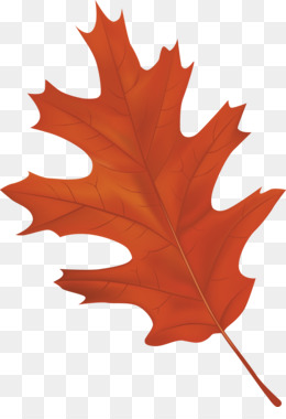 Leaf Clip art - Autumn Leaf png download - 1530*961 - Free 