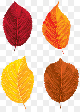 Free download Santa Claus Autumn leaf color Clip art - Fall Leaves Set