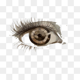 Eyelashes PNG & Eyelashes Transparent Clipart Free 