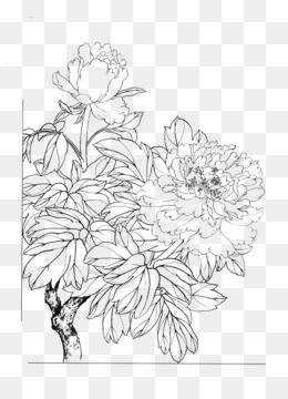 Lettering Line Drawing Motivation How To Draw Flowers Drawing