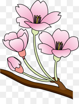 Cherry blossom Flower Clip art - Pink Flowers Cartoon png download