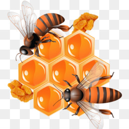 Bee Euclidean vector Illustration - Drink honey bees png download ...