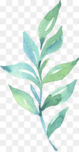 Green Leaf Watercolor png download - 3885*3861 - Free Transparent Leaf ...