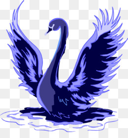 Black swan Trumpeter swan Tundra Swan Clip art - Cartoon Goose png