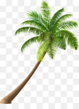 Cartoon Coconut Trees PNG & Cartoon Coconut Trees Transparent Clipart