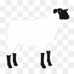 Sheep PNG & Sheep Transparent Clipart Free Download - Sheep.