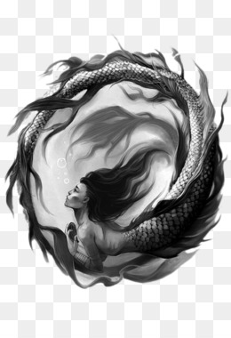 Mermaid Drawing Siren Sketch - Mermaid png download - 564*776 - Free