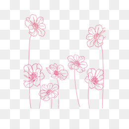 Rose Flower Drawing Clip art - line drawing png download - 1523*2400