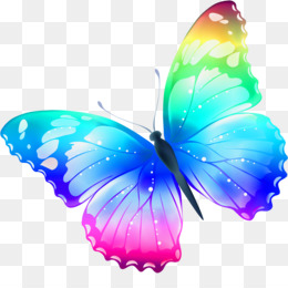 Buterfly PNG and Buterfly Transparent Clipart Free Download.