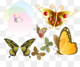 Buterfly PNG and Buterfly Transparent Clipart Free Download.