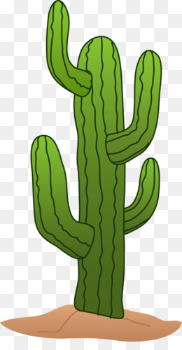 Cactaceae Emoji Plant Saguaro San Pedro Cactus - cactus png download