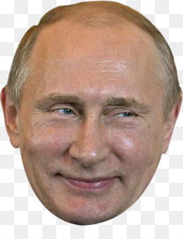 Vladimir Putin The 38th G8 Summit Clip art - Vladimir ...