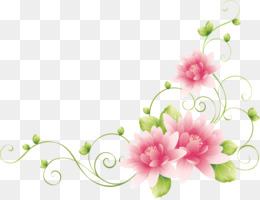 Flower vine png download - 658*948 - Free Transparent Flower png Download.