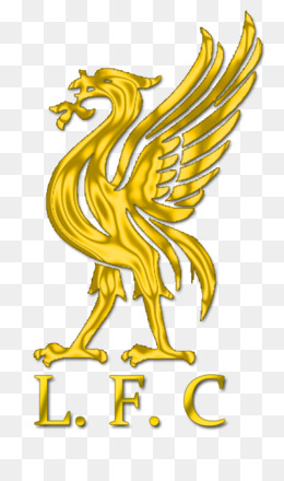 Liverpool F.C. Anfield Liver bird Logo FA Cup - liver png ...