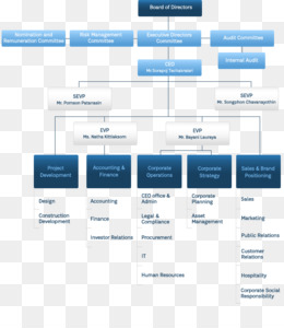 Gopro Organizational Chart