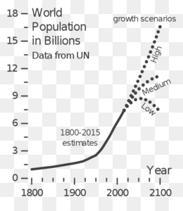 Essay population growth