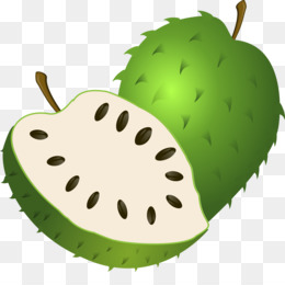 Soursop PNG  Soursop Transparent Clipart Free Download 