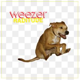 Weezer Maladroit Zip