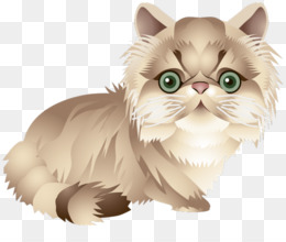 Free Download Exotic Shorthair Kitten Persian Cat Himalayan Cat