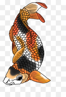 Drawing Fish Coloring book Clip art - ikan koi png download - 999*766