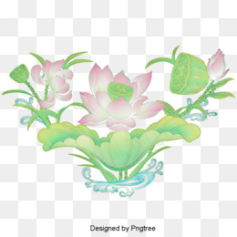 Terkeren 19 Gambar Bunga Lotus Kartun  Gambar  Bunga  Indah