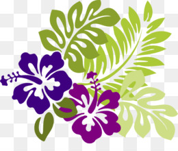 Drawing Flower PNG & Drawing Flower Transparent Clipart Free Download