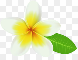 Desktop Wallpaper Clip Art Cambodia Flower 580 564